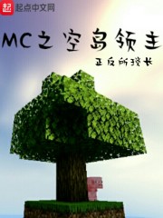 MC之空岛领主" width="120" height="150"