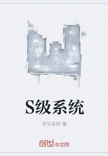 S级系统" width="120" height="150"