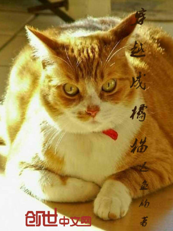 穿越成橘猫" width="120" height="150"