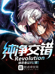 纯净交错Revolution" width="120" height="150"