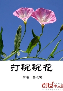 打碗碗花" width="120" height="150"