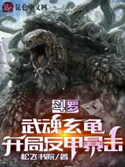 斗罗：武魂玄龟，开局反甲暴击" width="120" height="150"