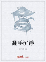 翻手沉浮" width="120" height="150"