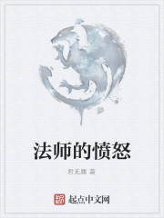 法师的愤怒" width="120" height="150"