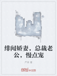 绯闻娇妻，总裁老公，慢点宠" width="120" height="150"