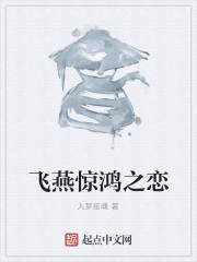 飞燕惊鸿之恋" width="120" height="150"