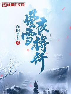 风雪夜将行" width="120" height="150"