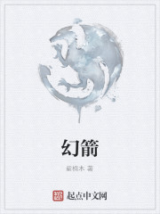 幻箭" width="120" height="150"