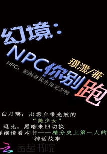 幻境：NPC你别跑" width="120" height="150"