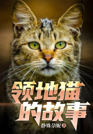 领地猫的故事" width="120" height="150"