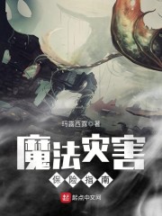 魔法灾害保险指南" width="120" height="150"