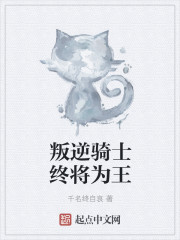 叛逆骑士终将为王" width="120" height="150"