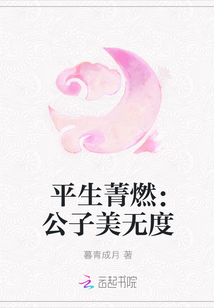 平生菁燃：公子美无度" width="120" height="150"