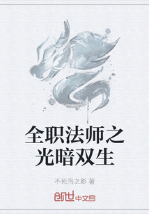 全职法师之光暗双生" width="120" height="150"