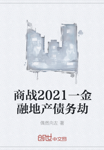 商战2021一金融地产债务劫" width="120" height="150"