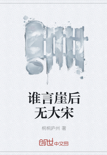 谁言崖后无大宋" width="120" height="150"