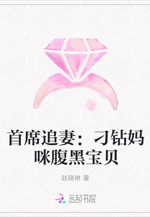 首席追妻：刁钻妈咪腹黑宝贝" width="120" height="150"