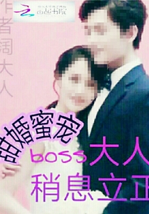 甜婚蜜宠boss大人，稍息立正" width="120" height="150"