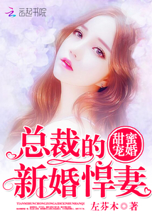 甜蜜宠婚，总裁的新婚悍妻" width="120" height="150"