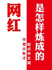 网红是怎样炼成的" width="120" height="150"