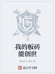 我的板砖能创世" width="120" height="150"