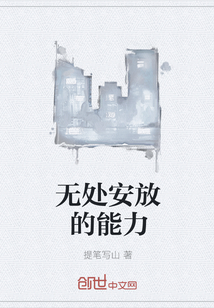 无处安放的能力" width="120" height="150"