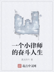 一个小律师的奋斗人生" width="120" height="150"