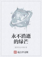 永不消逝的绿芒" width="120" height="150"