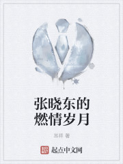 张晓东的燃情岁月" width="120" height="150"